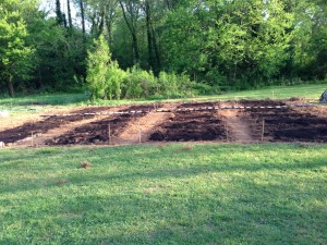 MONA Community Garden