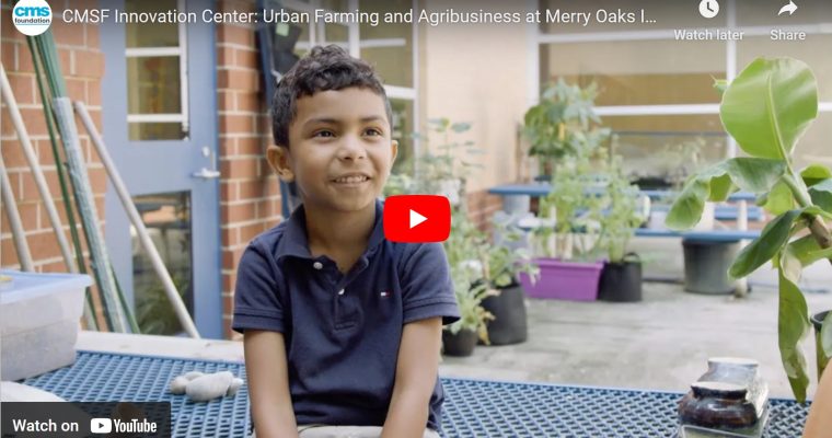 MOIA farm video from fall 2023